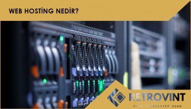 web hosting nedir