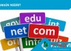 domain nedir