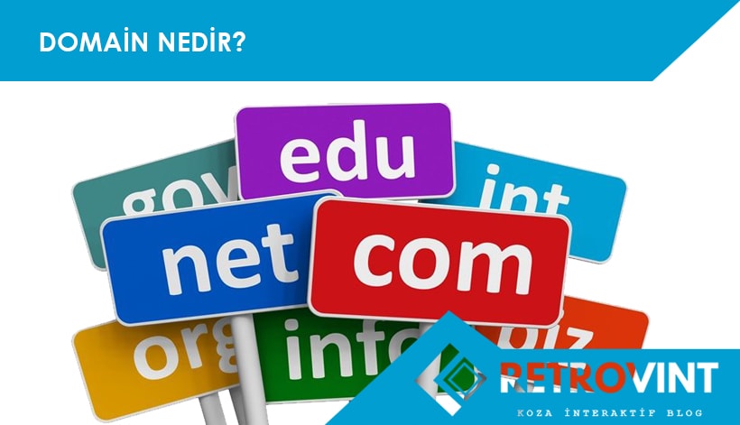 domain nedir