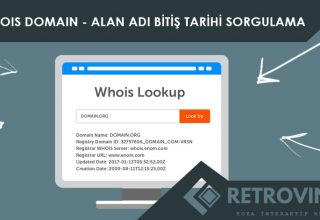 whois domain alan adı