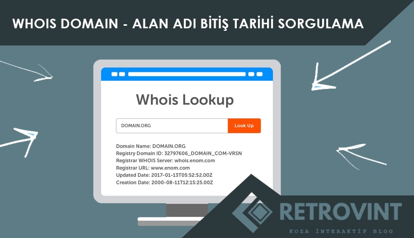 whois domain alan adı