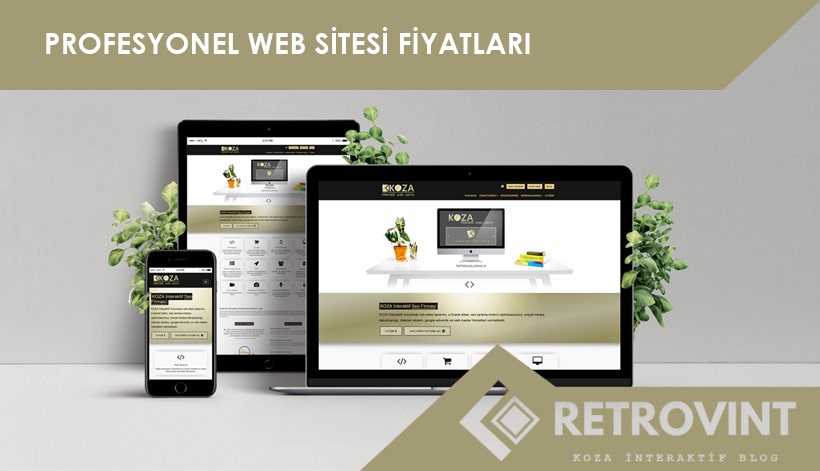 profesyonel web sitesi fiyatları